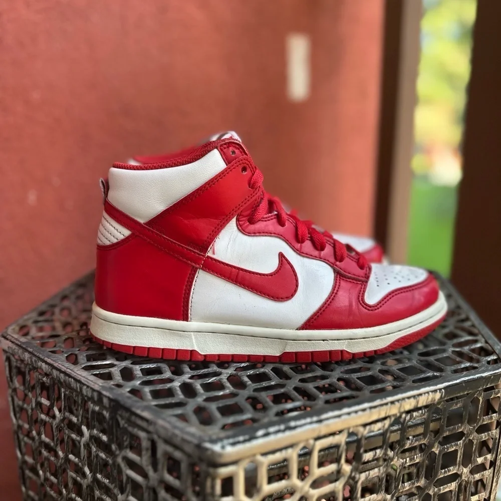 Nike Dunk High